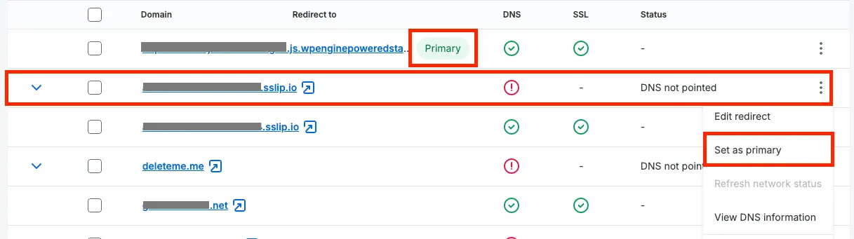 Screenshot of the set primary domain menu item